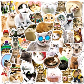 Funny Cat Stickers Cute Cat Sticker Set 50 Pieces Cute Decoration for Car Laptop Skateboard Bicycle Moped Motorcycle Bicycle Computer Suitable for Adults Children