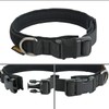 EXCELLENT ELITE SPANKER - Collar militar para perro de nailon
