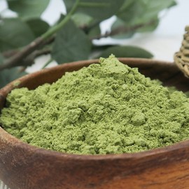 Barley sprout powder powder 300g Barley sprout powder premium / 새싹보리 분말 가루 300g 보리새싹 파우더 프리미엄