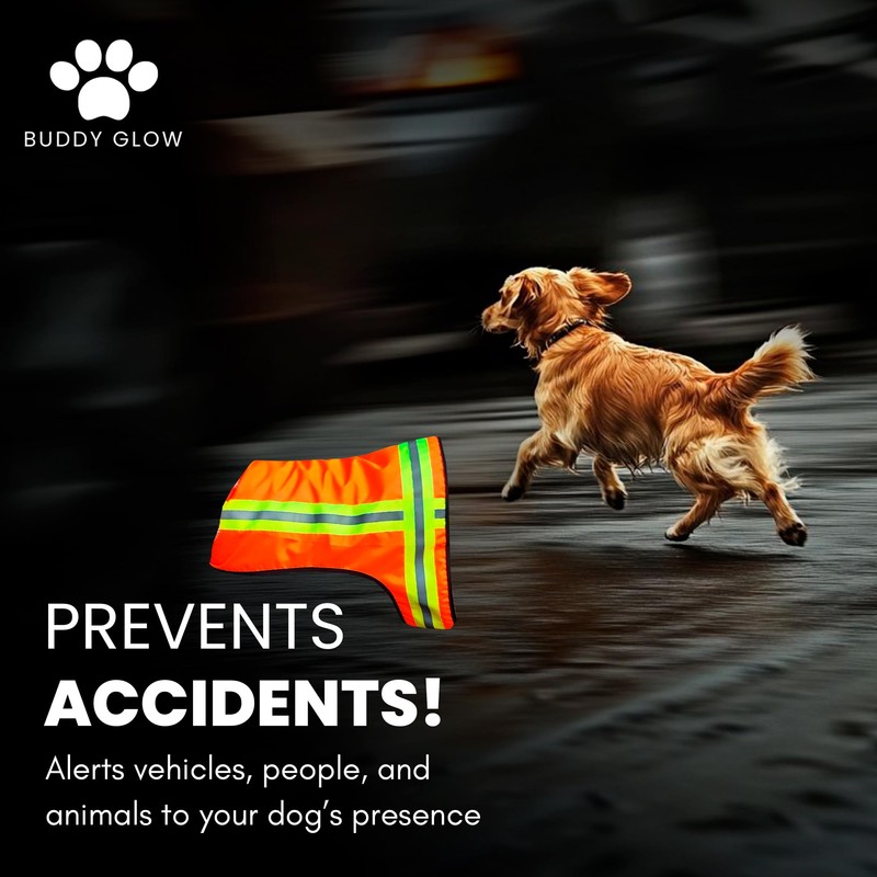 BUDDY GLOW Reflective Dog Vest – Fluorescent Orange | High-Visibility,