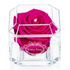 A 100% Real Rose That Lasts Years - Eternal Petals,