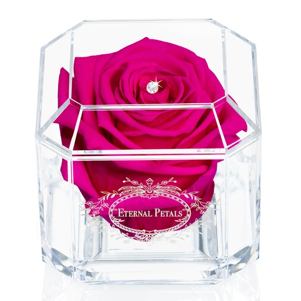 A 100% Real Rose That Lasts Years - Eternal Petals,
