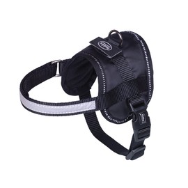 Nobby Set Seguro Mini Stomach, Black
