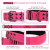 Yunleparks Tactical Collar for Medium Large Dogs, Heavy Duty Metal