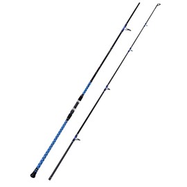 Fiblink Surf Spinning Fishing Rod Carbon Travel Surf Rod 2 Piece Saltwater Spinning Fishing Rod 11'