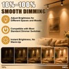 PAR30 Short Neck Halogen Flood Light Bulbs, 2 Pack 120V