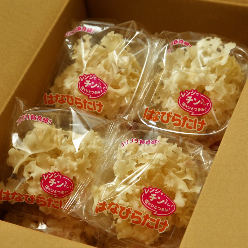 Hanabiratake, 2.8 oz (80 g), 10 Bags, km04, Made in