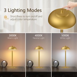FenFud 2 Pack Led Cordless Table Lamp: Modern Portable Desk Lamp for Indoor/Outdoor Use, 3 Color Dimming Rechargeable Battery Lights for Dining Room, Living Room, Patio, Camping(Gold)