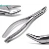 PREMIUM INSTRUMENTS Universal Extraction Forceps 150s Molars Incisors Dental Surgical