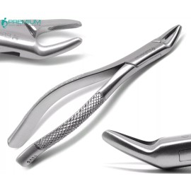 PREMIUM INSTRUMENTS Universal Extraction Forceps 150s Molars Incisors Dental Surgical Instruments