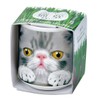 Seishin Ceramics GD-102904 Ochokokode Cat Grass Gray Size: Approx. φ1.7