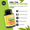 DAUSON Ginger Turmeric Supplements – Boosted with Piperine, Vitamin D3,