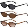 BAODAREN Retro Oval Cat Eye Sunglasses for Women Trendy Small