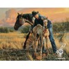 Tim Cox - New Foal Open Edition on Paper