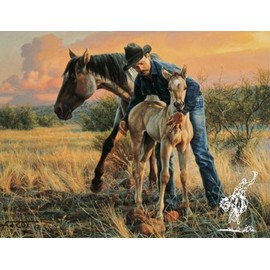 Tim Cox - New Foal Open Edition on Paper
