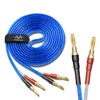 Single/Individual Sale 【Banana Plug Ready】By 【WYVERN AUDIO】 24k Gold-Plated Pure