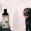 Shampoo BellaPet CocoArgan Acondicionador Para Mascota 500ml