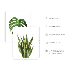 HAUS AND HUES Plant Wall Art - Set of 4 Plant Pictures Wall Art and Green Wall Art Collection, Botanical Prints, Sage Green Leaves Paintings For Wall, Minimalist Wall Art (11x14, Unframed)