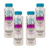 Spa Essentials 32613000-04 Stain Scale, 1-Pint, 4-Pack