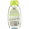 Garnier Ultra DOUX Coconut Water Shampoo Aloe Vera 250 ml