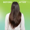 Garnier Fructis Pure Clean Shampoo, Conditioner + Detangler Kit (Personal