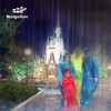 Budgetizer Rain Poncho Family Pack with Shoe Covers – Extra