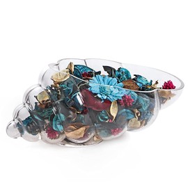 MDLUU Glass Shell Vase, 10-Inch Seashell Potpourri Holder, Decorative Conch Bowl for Shell Collection Display, Sea Glass, Air Plant