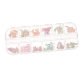 LALAFINA 1set Nail Art Charms Maple Leaves Flower Pulp Flakes for Nail Decoration for Manicure Enthusiasts Creative Styles