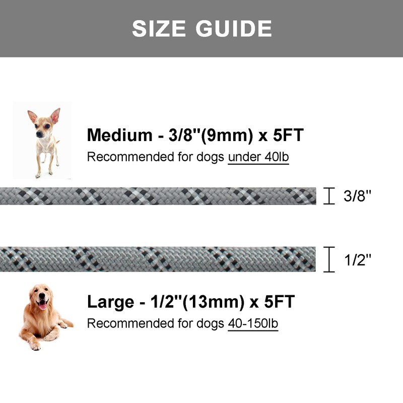 Petarea 5 FT Slip Lead Dog Leash, Heavy Duty Rope
