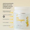 ela nutrition | ela Collagen | Lemon Ginger | Péptidos