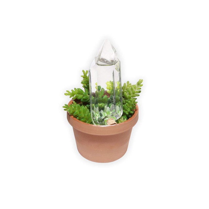 Kikkerland Hand Blown Glass Self Watering Stake for Potted Plants