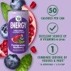 DISTRIBUTED BY THE CAMPBELL'S COMPANY V8 +Energy Peach Mango, Orange