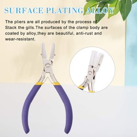 BENECREAT Double Nylon Jaw Pliers Jewellery Pliers with Replacement Jaws, Craft and Jewellery Tool Kit for Jewellery Making (Box Joint Construction)