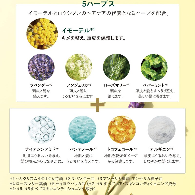 L'Occitane Five Herbs Scalp Night Serum, 1.7 fl oz (50