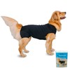 Shed Defender Recovery Suit for Dogs - Seen on Shark