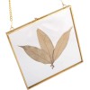 HighFree 6.3x6.3" Double Glass Floating Frame for Dried Flowers Square