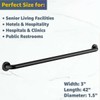 42″ Stainless Steel Matte Black Restroom Grab Bar – Wall