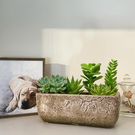 Classic Home and Garden Dakota Rectangular Planter Box w/Drain Plug - Small Succulent Pots for Window Sills & More - Shallow Trough Planter for Indoor Outdoor Use (8” Earth Moss Gray)