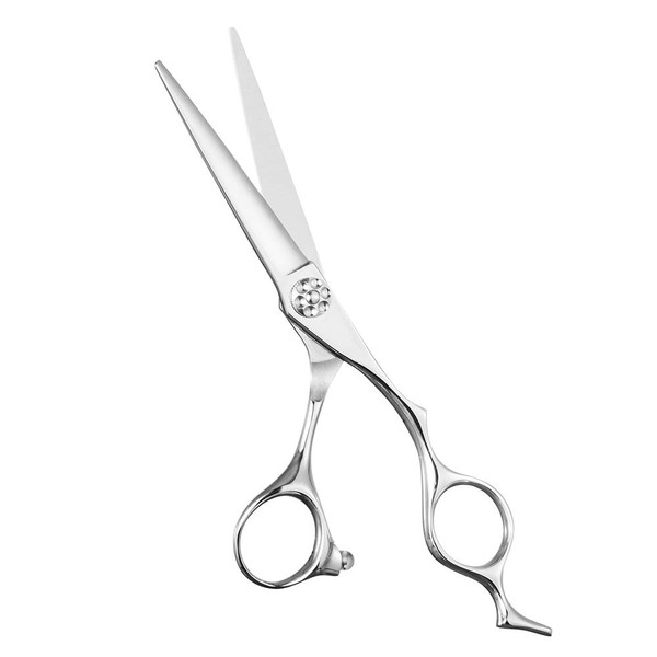 AOLANDUO Prime Hairdressing Scissors (6 inch) with Super Convex Edge, AICHI JP440C Hair Cutting Scissors, Durable, Smooth Movement and Fine Hair Cutting Scissors for Salon (Classic)