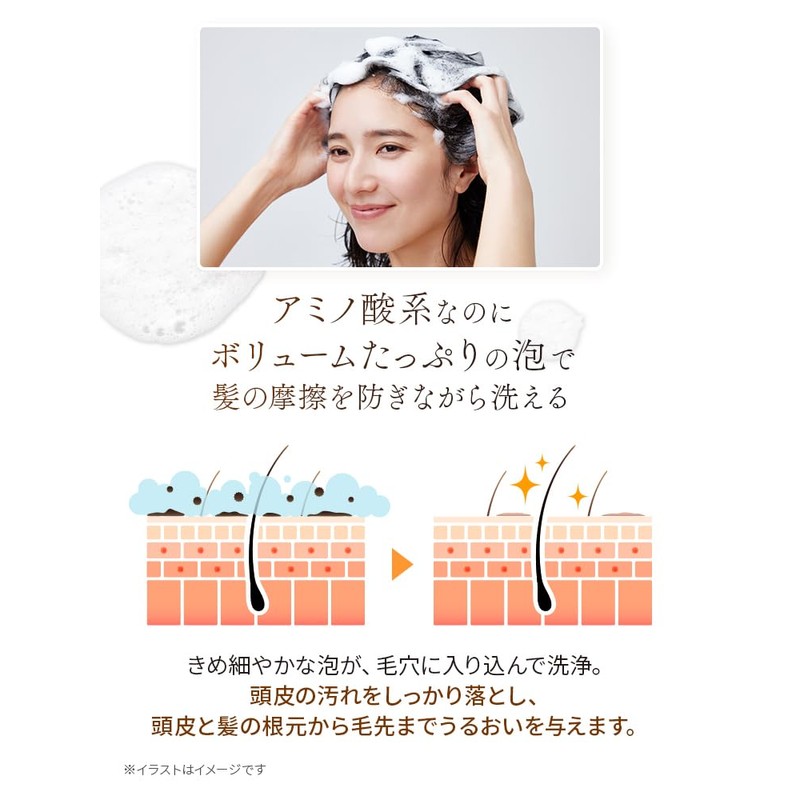 Proley Moisture Repair Shampoo (Refill)