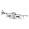 Metal Earth Trumpet 3D Metal Model Kit Fascinations