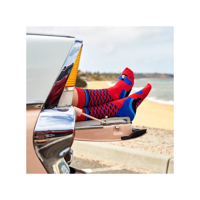 Wilson Payne Down Under Socks - Rosella, 8-11