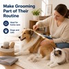 Undercoat Rake for Dogs and Cats - Stainless Steel Dematting