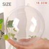 Plastic Ball Ornament Acrylic Ornament Clear Ball Capsule (16cm)
