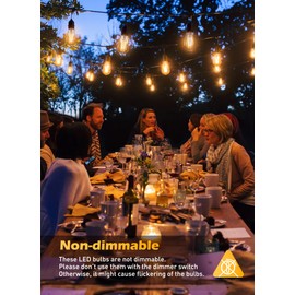 Brightown Edison Light Bulbs, 4Pcs Vintage 6 Watt Incandescent Light Bulbs E26 Base Non-Dimmable Decorative Antique Filament Light Bulbs 252 Lumens, Warm White