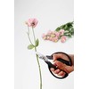 Kai KAI Seki Magoroku Flower Cutting Shears, Black, Approx. Width
