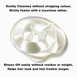 SNOBGIRLS CURALIGN Smoothing Shampoo Ultra-Smoothing Control New Super Concentrated Curly Hair Shampoo for Unruly, Curly, Frizzy, Dry or Coarse Hair Sulfate Free Shampoo Prowash with Vital Precious Oils. Salon Hair Care Shampoo for color treated hair