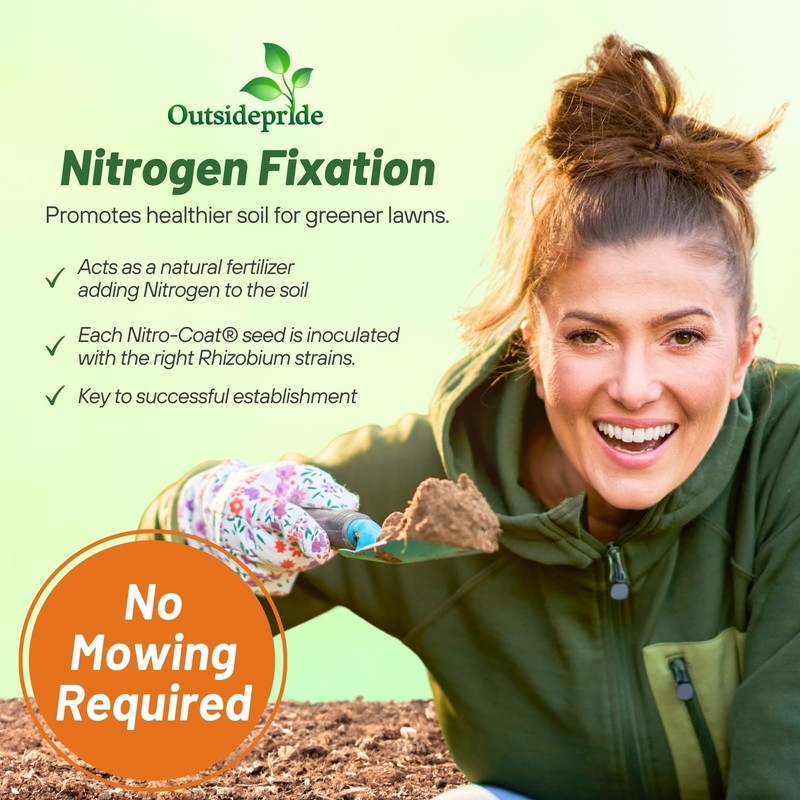 Outsidepride Perennial White MiniClover Seed - 1 lb. Dwarf, Small-Leaved,