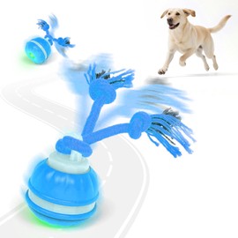 Interactive Smart Automatic Moving Electric Rolling Birdsong Squeaky Durable Stimulating Dog Ball Toys with Rope to Keep Them Busy for Boredom, Blue