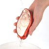 Annette Brush Foot Callus Remover KF12 Annette Brush Glass Foot